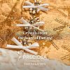 Preciosa® MAXIMA Crystal Round Stones X-PRC-RBSS39-10070-3