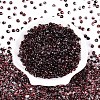 6/0 Gradient Color Glass Seed Beads SEED-N007-36K-2
