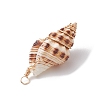 3Pcs Natural Shell Pendants PALLOY-JF03226-02-5