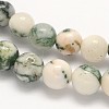 Natural Tree Agate Beads Strands G-N0166-11-8mm-2