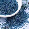 MIYUKI Round Rocailles Beads SEED-G007-RR0339-1