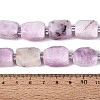 Natural Kunzite Beads Strands G-N362-07A-08-5