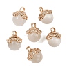 Cat Eye Charms FIND-SZC0010-609-1