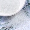 MIYUKI Round Rocailles Beads SEED-JP0008-RR0250-2