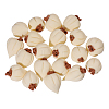 20Pcs Resin Simulation Garlic Model AJEW-CA0004-64-1