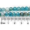 Natural Agate Beads Strands G-E054-6mm-16-3