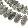 Natural Labradorite Double Terminated Point Beads Strands G-H069-A04-01-3