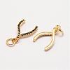 Brass Micro Pave Grade AAA Cubic Zirconia Pendants ZIRC-G090-46G-NR-1