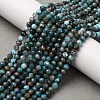 Natural Apatite Beads Strands X-G-A276-C08-4mm-01-1