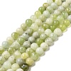 Natural New Jade Beads Strands G-K340-A01-02-1