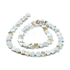 Natural Freshwater Shell Beads Strands SHEL-H002-03-5