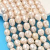 Natural Cultured Freshwater Pearl Beads Strands PEAR-D003-01D-13-1