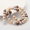 Shell Pearl Colorful Beads Strands BSHE-F013-14M-10mm-2