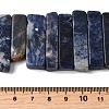Natural Sodalite Beads Strands G-S386-D19-5