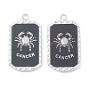 Alloy Twelve Constellations Series Big Pendants PALLOY-O107-01P-01-1