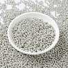 MIYUKI Round Rocailles Beads SEED-X0055-RR0181-2