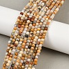 Natural Crazy Lace Agate Round Bead Strands G-P075-16-4mm-1