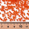 (Repacking Service Available) Glass Seed Beads SEED-C013-2mm-9B-3