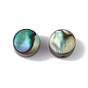 Natural Abalone Shell/Paua Shell Beads SSHEL-M021-02-2