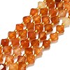 Natural Carnelian Beads Strands G-I376-B10-01-1