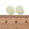 Luminous Transparent Acrylic Beads PL-CBA7A73-01-5