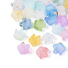 Frosted Transparent Acrylic Beads FACR-T009-01A-1