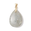 Natural Labradorite Pendants PALLOY-JF04953-3