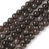 Natural Smoky Quartz Beads Strands G-G184-A04-02-1
