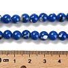 Assembled Synthetic Stone and Trochus Shell Beads Strands G-B128-08B-05-4