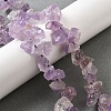 Natural Amethyst Beads Strands G-S386-B05-1