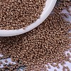 MIYUKI Round Rocailles Beads X-SEED-G007-RR1072-1