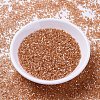 MIYUKI Delica Beads X-SEED-J020-DB1864-2