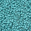 TOHO 6/0 Round Beads SEED-XTR06-0055-3