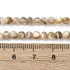 Natural Freshwater Shell Beads Strands SHEL-K006-71C-4