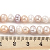 Natural Cultured Freshwater Pearl Beads Strands PEAR-C003-13E-5