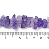 Natural Crackle Quartz Beads Strands G-R012-B06-06-4