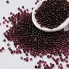 Natural Garnet Beads G-Z016-03B-1