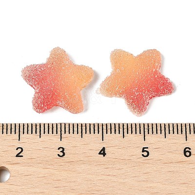 Imitation Candy Food Style Resin Cabochons RESI-R461-02L-1