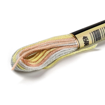 10 Skeins 6-Ply Polyester Embroidery Floss OCOR-K006-A53-1