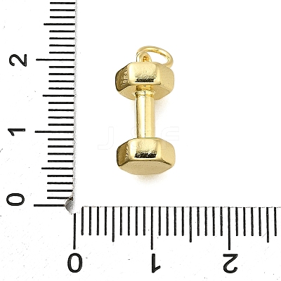 Brass Pendants KK-V002-13G-1