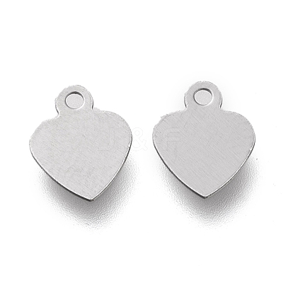 Non-Tarnish 304 Stainless Steel Charms LS-STAS-K195-13P-1