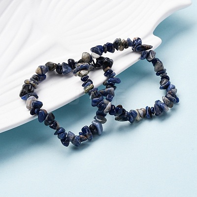 Unisex Chip Natural Sodalite Beaded Stretch Bracelets BJEW-S143-21-1