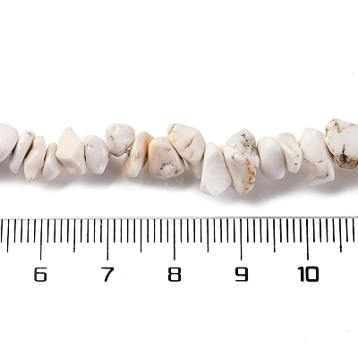 Magnesite Chip Bead Strands G-M205-75-1