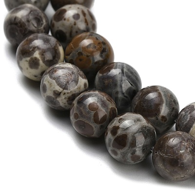 Natural Astroite Jasper Beads Strands G-F814-A01-8mm-1