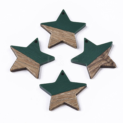 Resin & Wood Pendants RESI-T023-23E-1