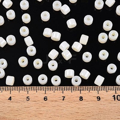 Glass Seed Beads SEED-T008-01B-1