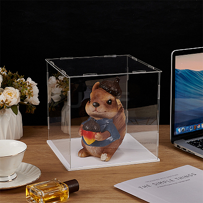 Transparent Acrylic Display Boxes ODIS-WH0329-94C-1