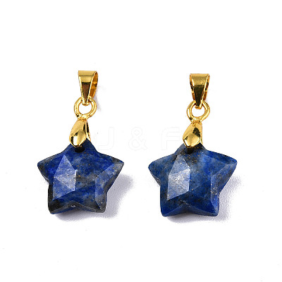 Natural Lapis Lazuli Charms X-G-N326-142-02-1
