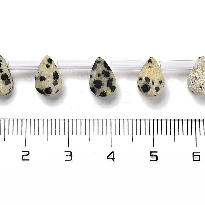 Natural Dalmatian Jasper Beads Strands G-Q167-A20-02-1