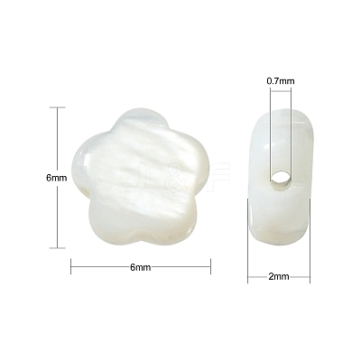 30Pcs Natural Freshwater Shell Beads SHEL-CJ0001-29-1